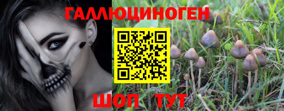 Псилоцибиновые грибы MAGIC MUSHROOMS Волхов