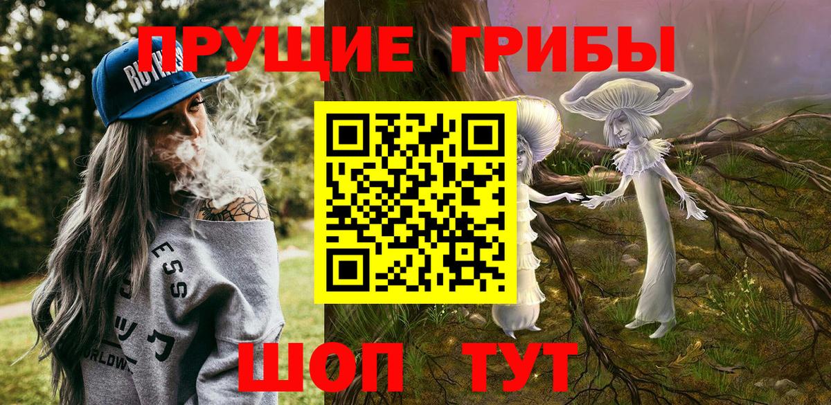 Галлюциногенные грибы Cubensis  Псилоцибиновые грибы Magic Shrooms  Волхов  Вход с VPN 